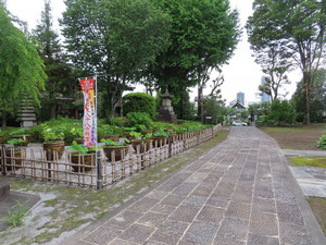 IMG_8223.jpg