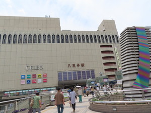 IMG_8227.jpg