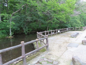 IMG_8263.jpg