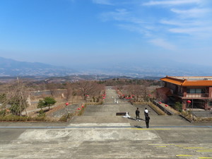 IMG_8291.jpg