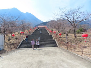 IMG_8297.jpg