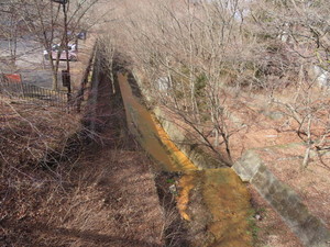 IMG_8309.jpg