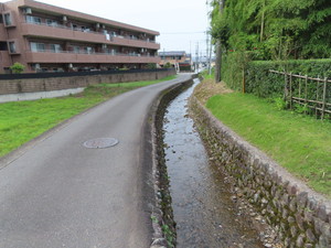 IMG_8330.jpg