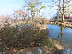 IMG_8345.jpg