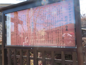 IMG_8351.jpg