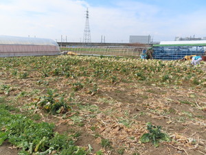 IMG_8393.jpg