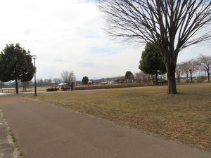IMG_8398.jpg