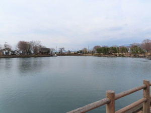 IMG_8411.jpg