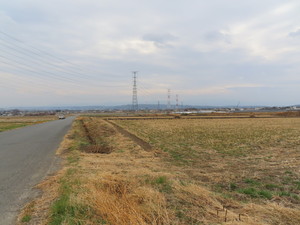 IMG_8414.jpg