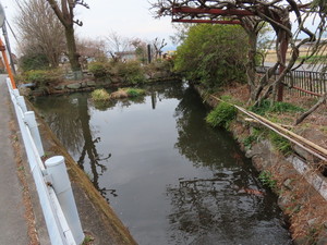 IMG_8420.jpg