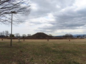 IMG_8462.jpg