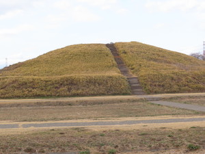 IMG_8469.jpg