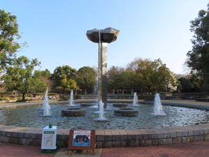 IMG_8539.jpg