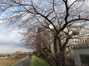 IMG_8556.jpg