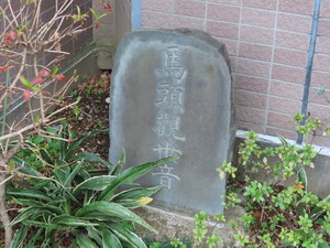 IMG_8567.jpg