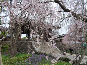 IMG_8592.jpg