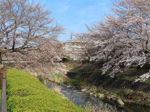 IMG_8642.jpg
