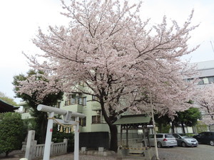 IMG_8675.jpg