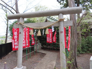 IMG_8680.jpg