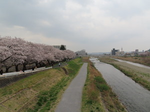 IMG_8689.jpg