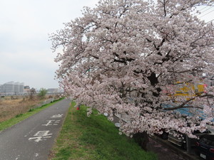 IMG_8695.jpg
