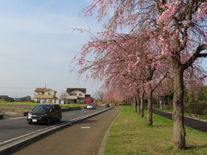 IMG_8755.jpg