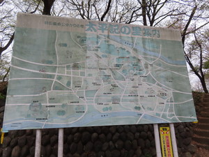 IMG_8791.jpg