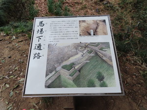 IMG_8808.jpg