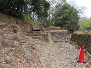 IMG_8813.jpg