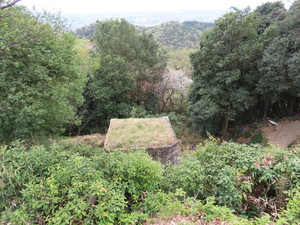 IMG_8824.jpg