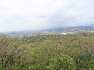 IMG_8826.jpg