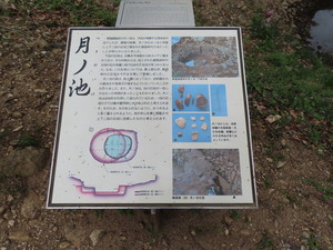 IMG_8840.jpg