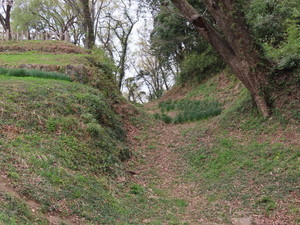 IMG_8842.jpg