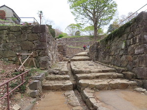 IMG_8845.jpg