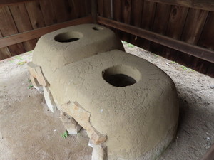 IMG_8862.jpg