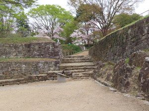 IMG_8863.jpg