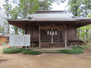 IMG_8886.jpg
