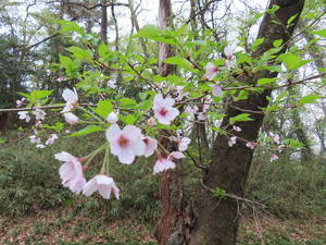 IMG_8903.jpg