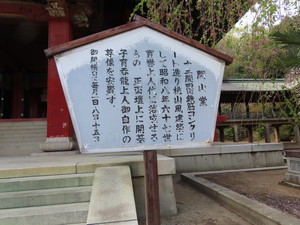 IMG_8915.jpg