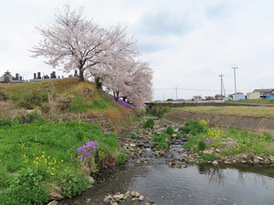 IMG_8942.jpg