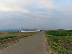 IMG_8951.jpg