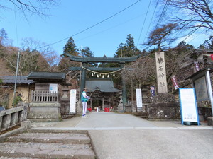 IMG_8958.jpg
