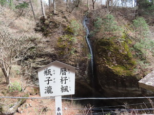 IMG_8993.jpg