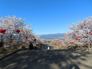IMG_9051.jpg