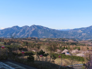 IMG_9068.jpg