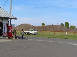 IMG_9076.JPG