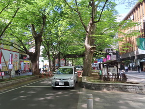 IMG_9113.jpg