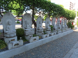 IMG_9182.jpg