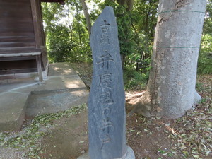 IMG_9194.jpg