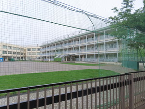 IMG_9367.jpg